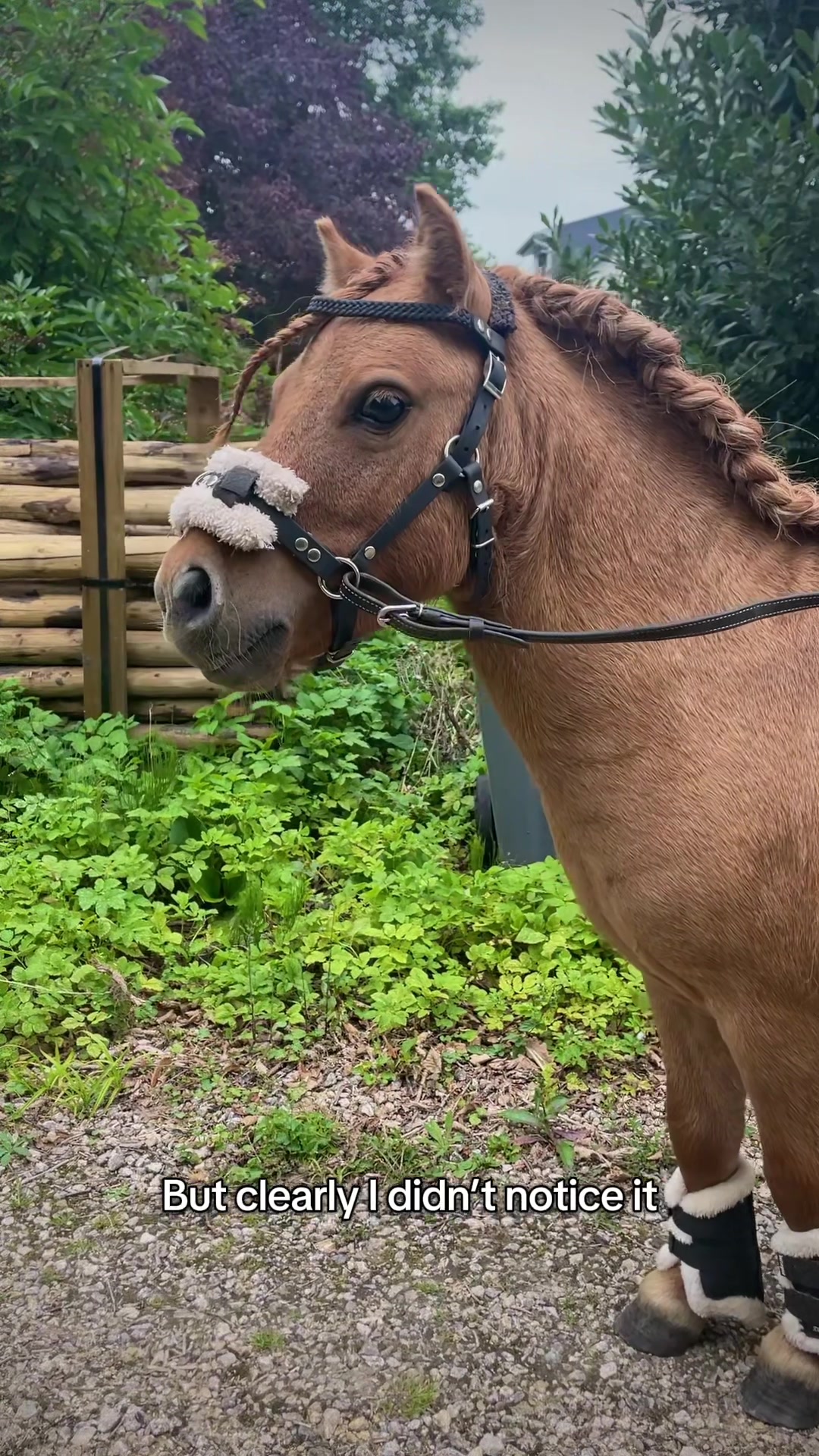@equi.jcf