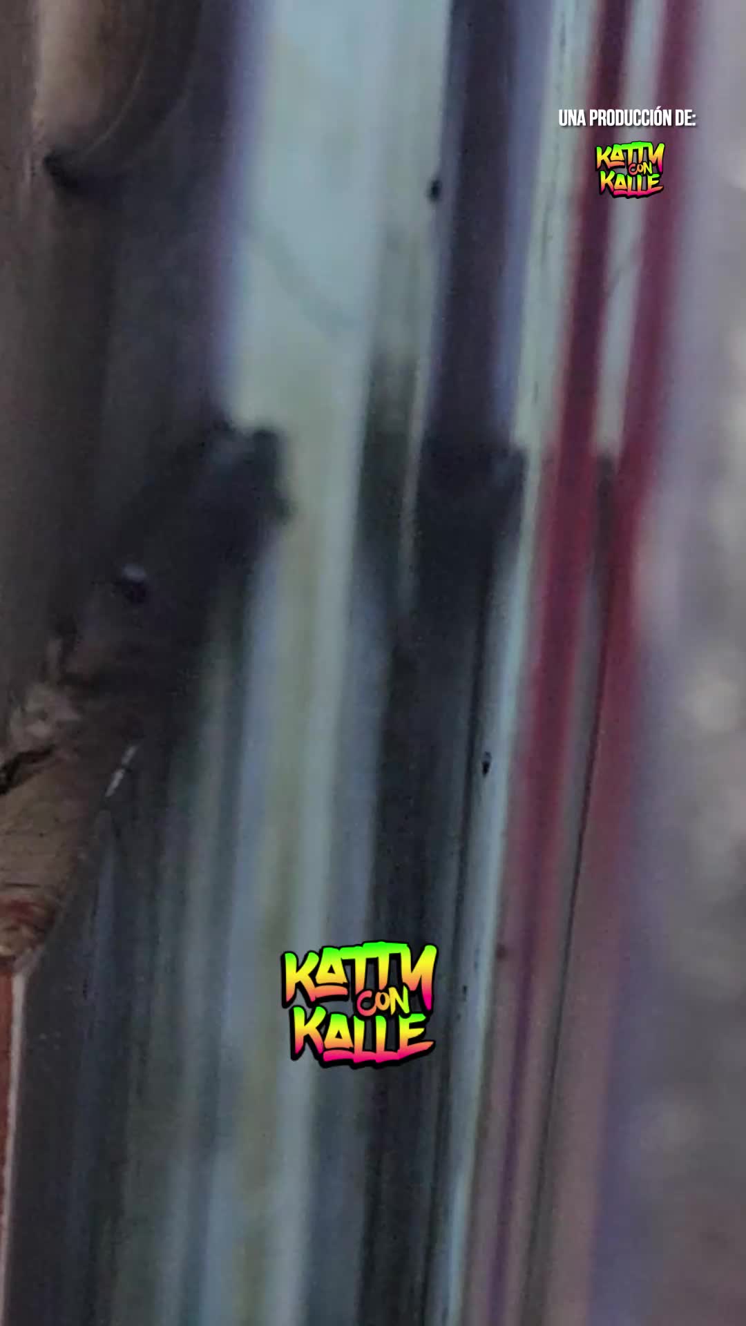 @Katty Villalobos
