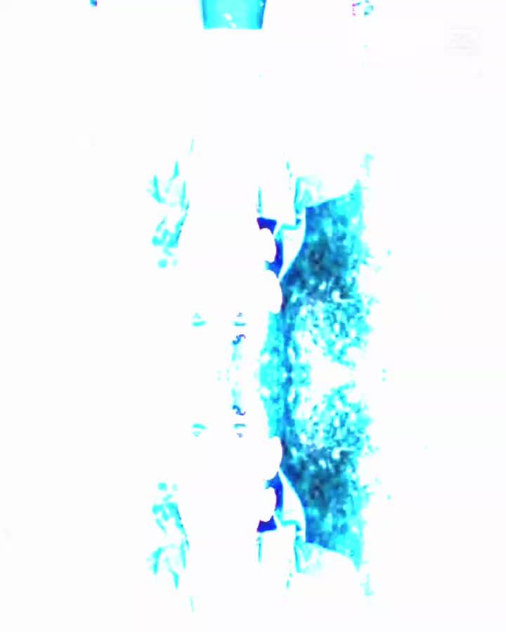@فاروق احمد
