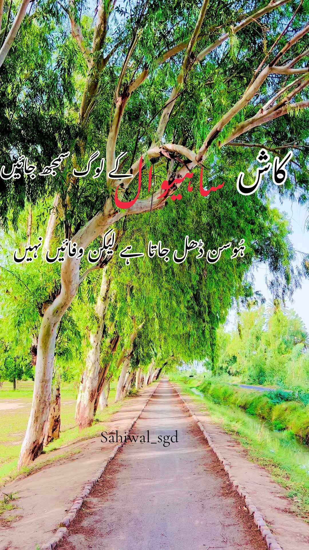 @ساہیوال🫀🥀