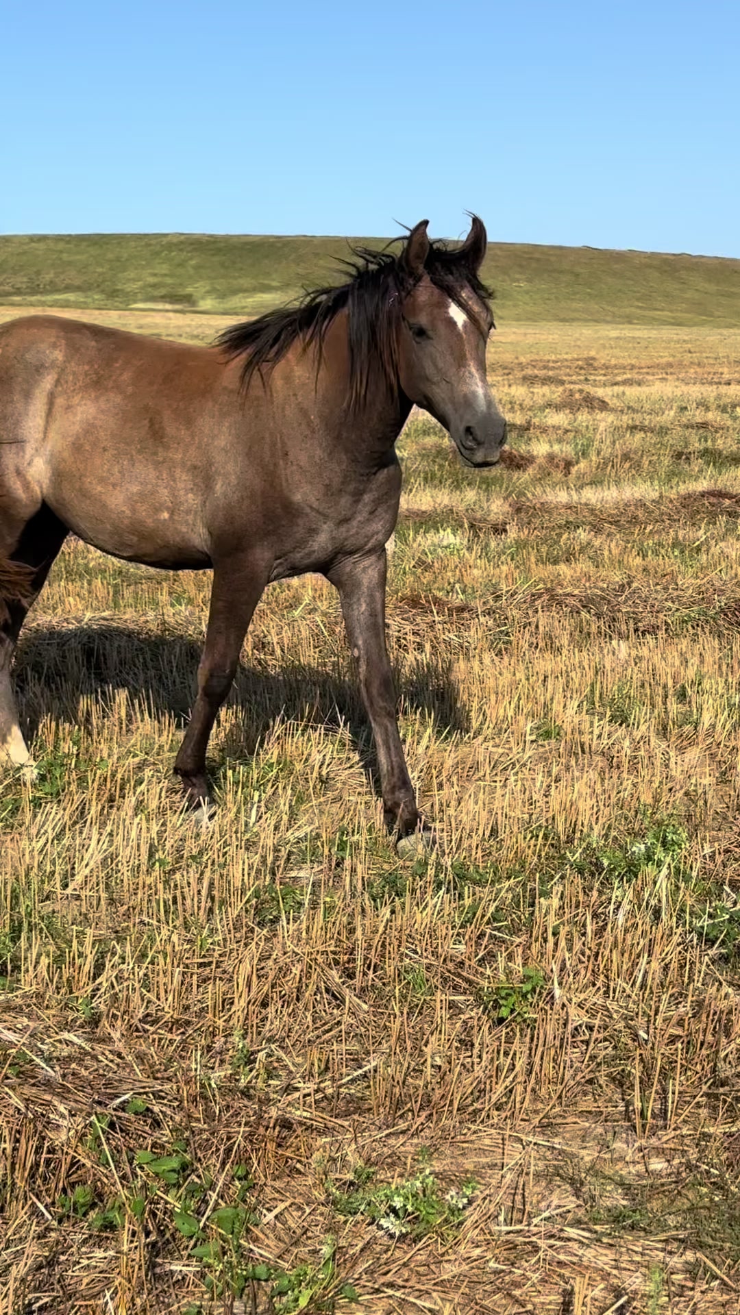 @MakvinStud
