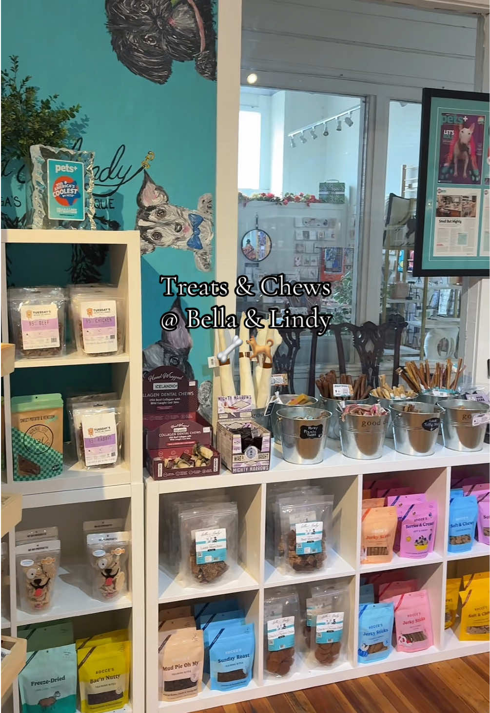 @Bella & Lindy Pet Boutique