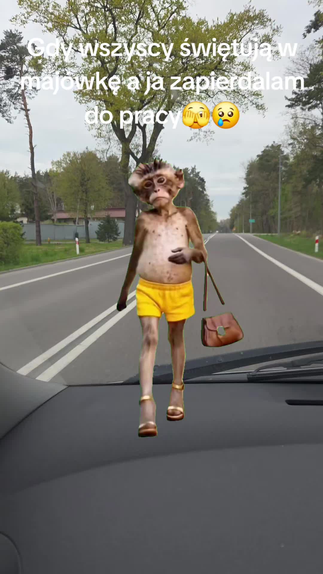 @zycienawsi51🧶