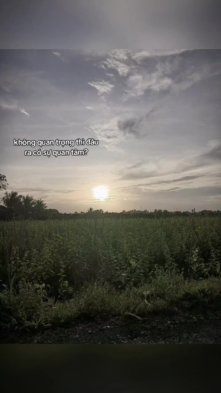 @Thương mỗi m&igrave;nh ch&agrave;ng ❤️&zwj;🩹