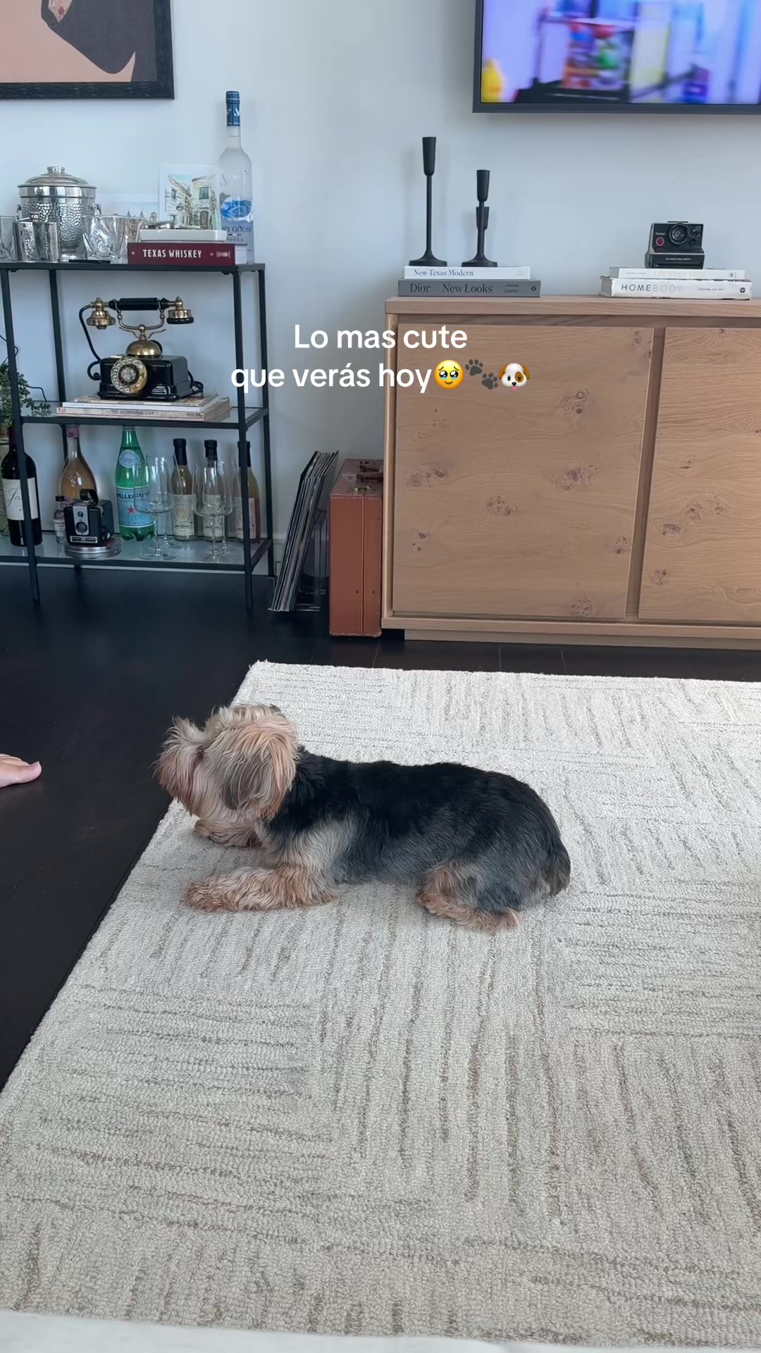 @Lynnette Lluveras