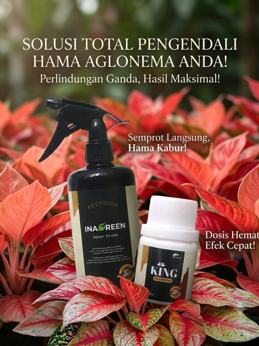 @Kuntum_Bunga