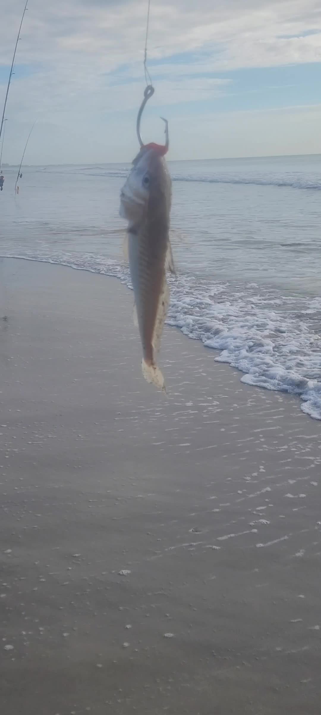 @Ghost of Space Coast Fishing
