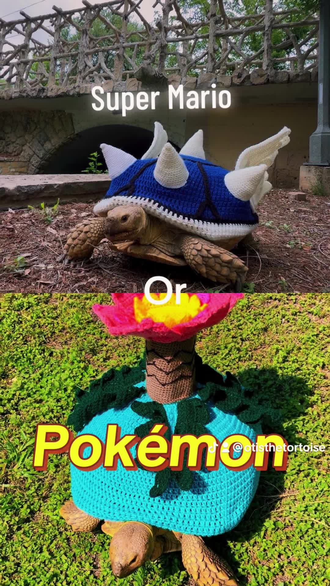 @OtisTheTortoise