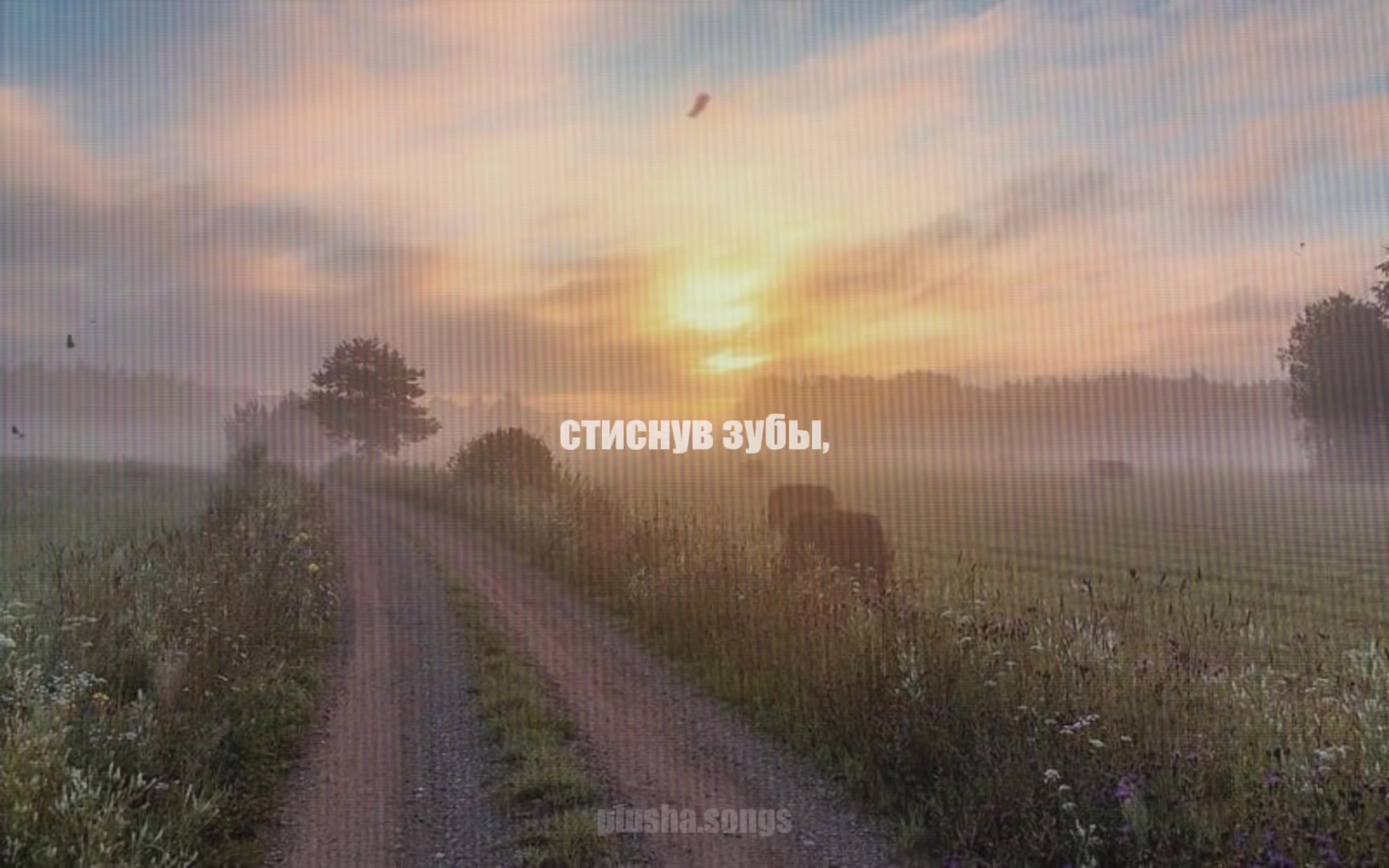 @тгк: songs || plusha
