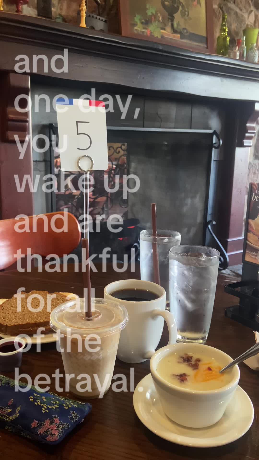 @curiouscowgal╰⋃╯