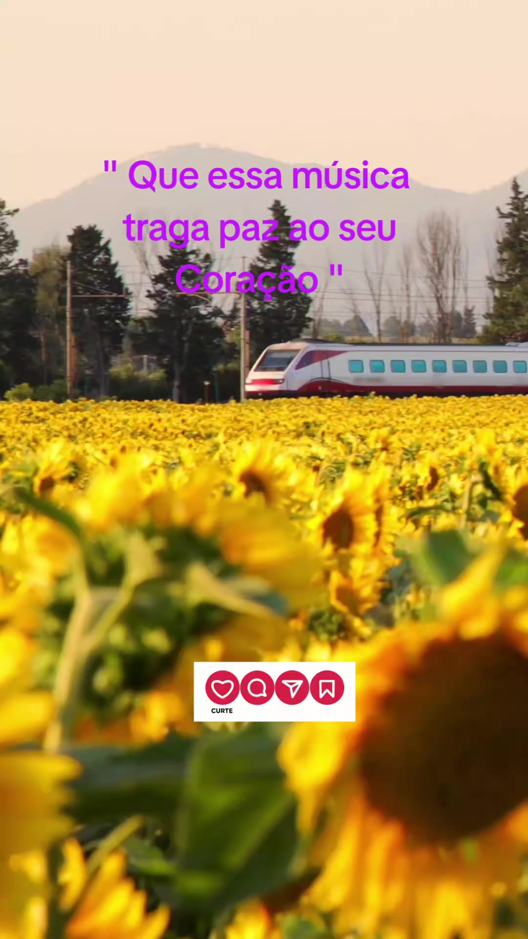 @M&uacute;sicas Eternas.