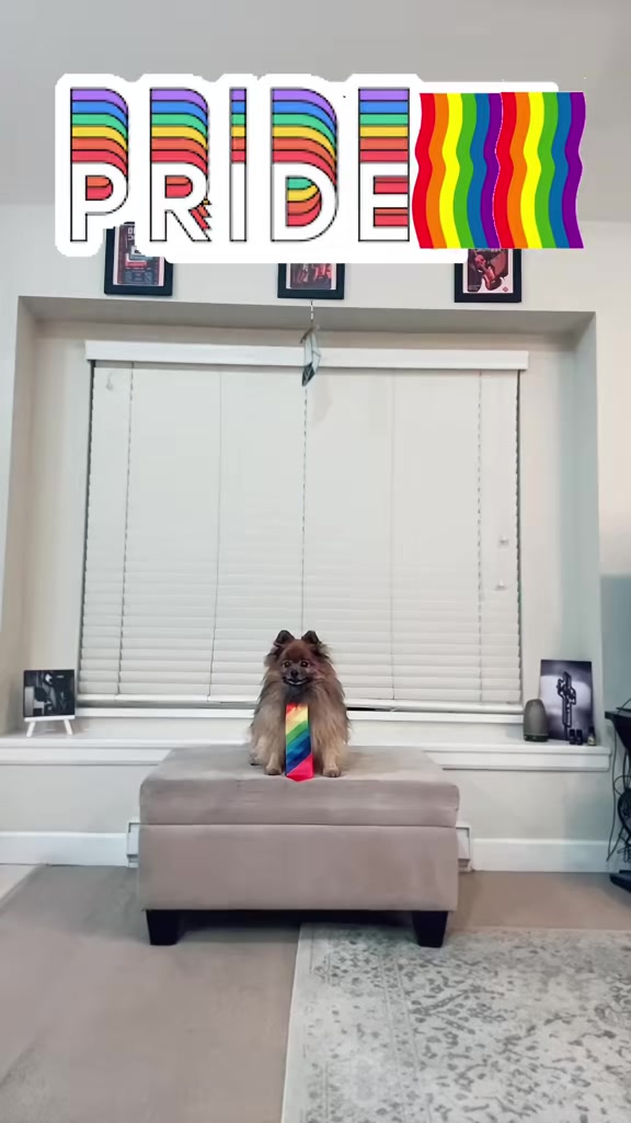 @🌈ROBIN🇨🇦
