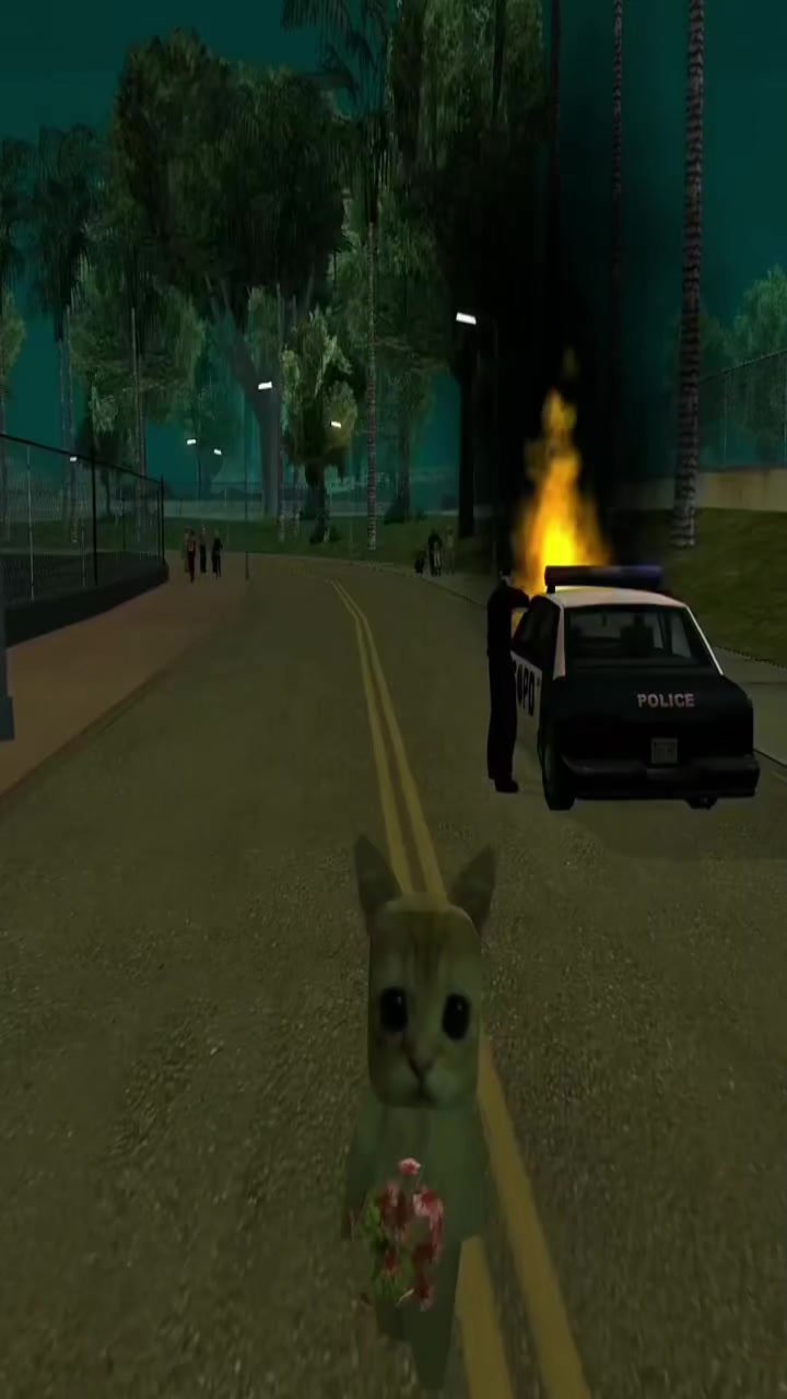 @rngo