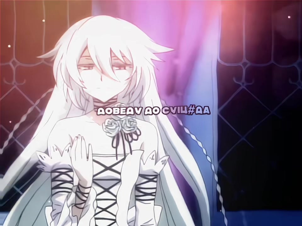 @◞Alicceww|系Editor◜