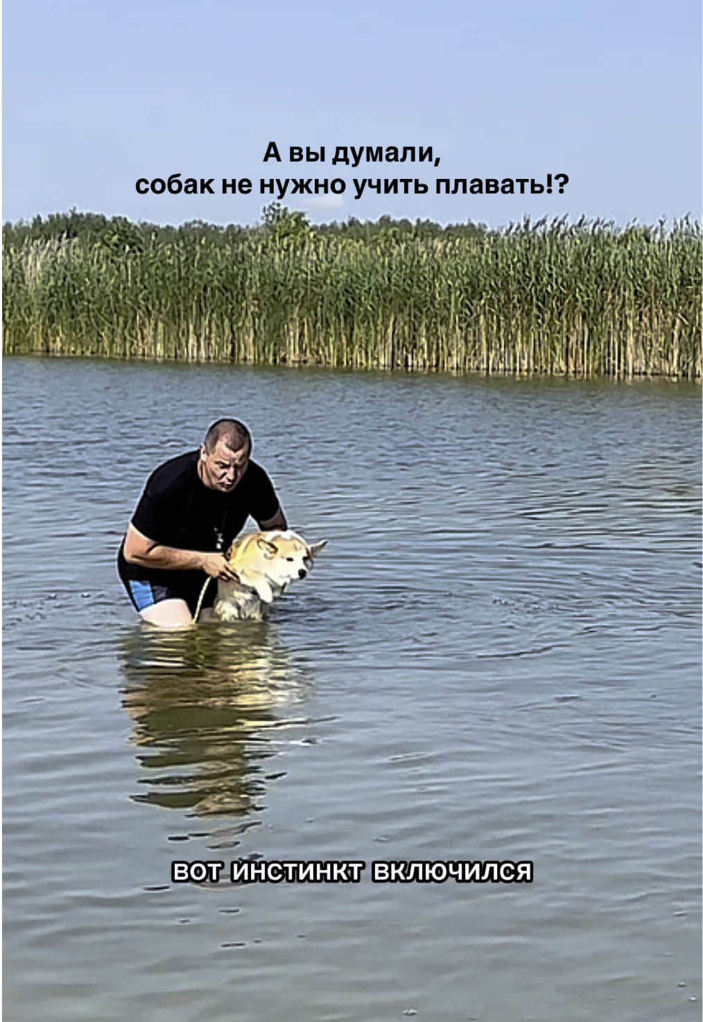 @corgimom.alntz