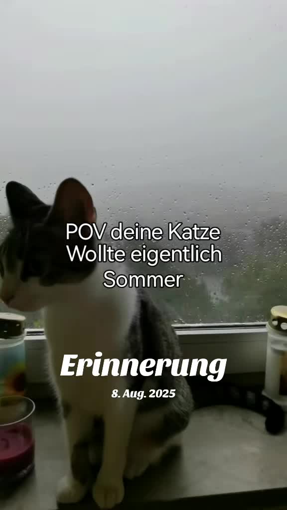 @juli🇩🇪🇺🇸🇷🇺
