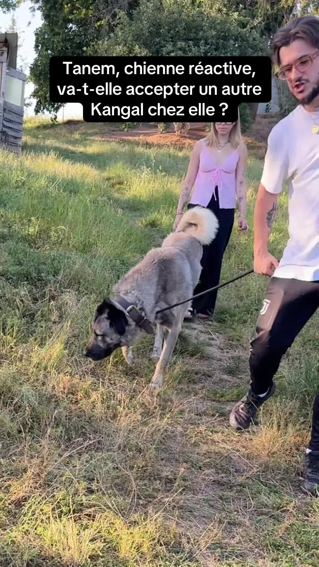 @Purekangal