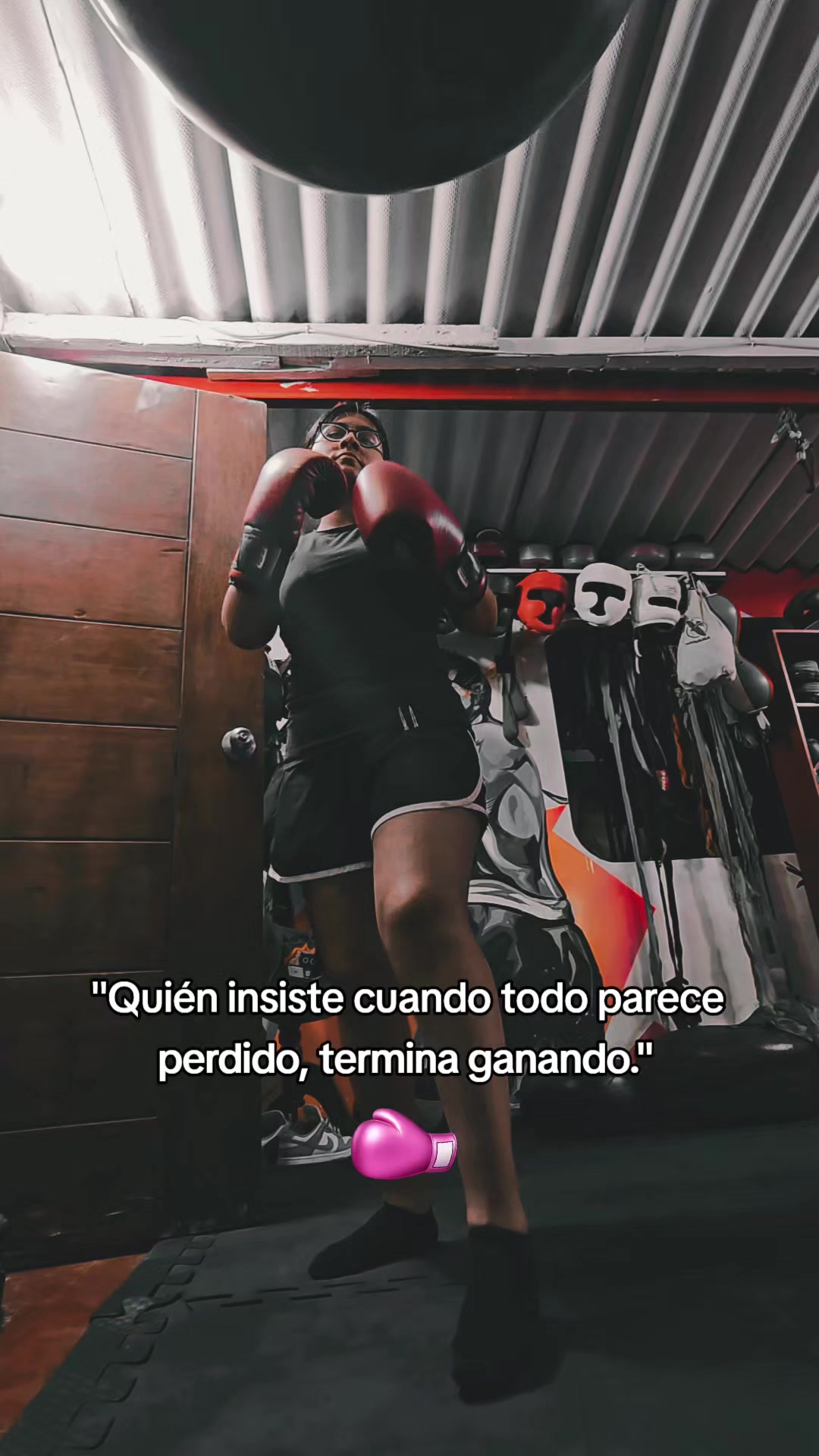 @EL DON K.O.🥊