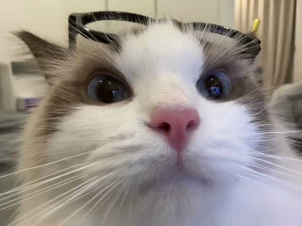 @bossyeuu