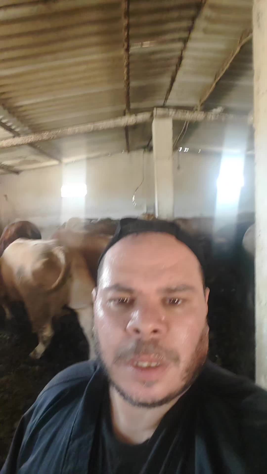 @طبيب بيطري و أفتخر