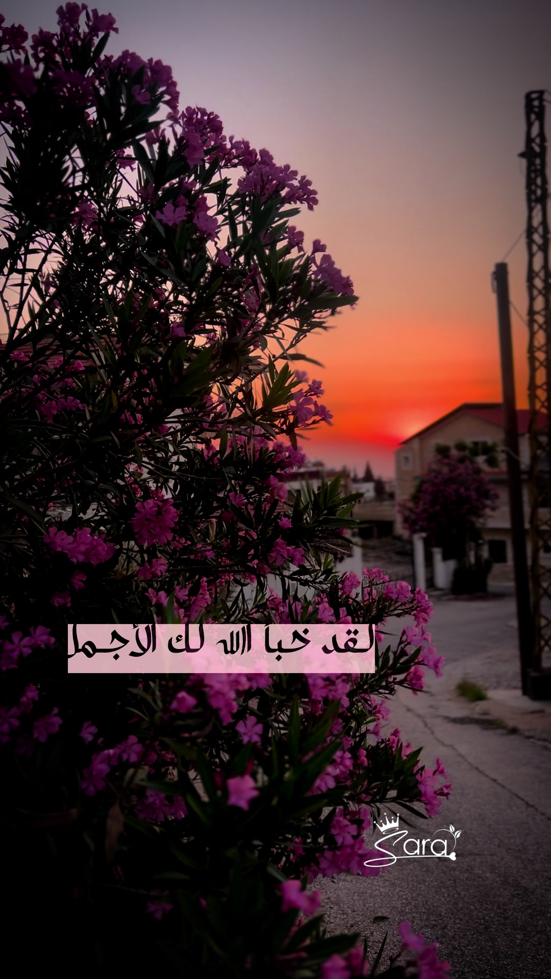 @༊෴✿سہارة✿〄