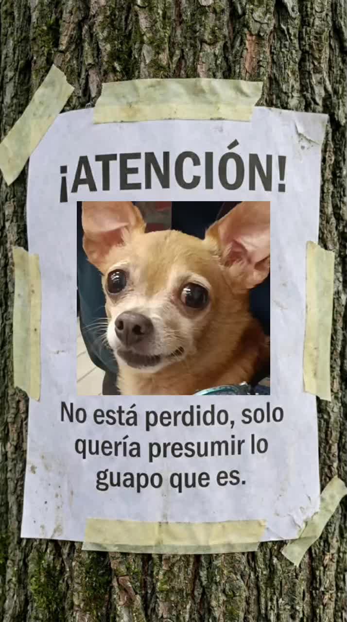 @Jessica Orria Vazque