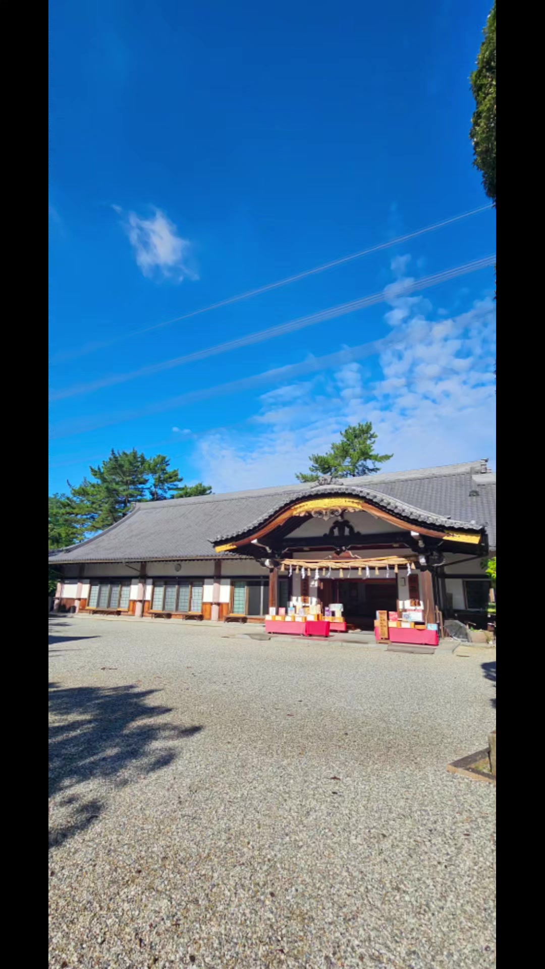 @🍵海苔茶漬け nori_chazuke