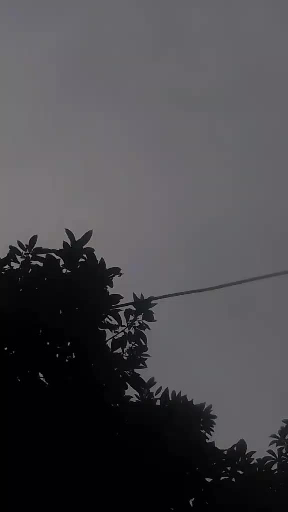 @๐ฐ๐น๐จ๐ต๐๐ฐโฐโณ๐๐ฉ๐ฐโฐ๐ฅ