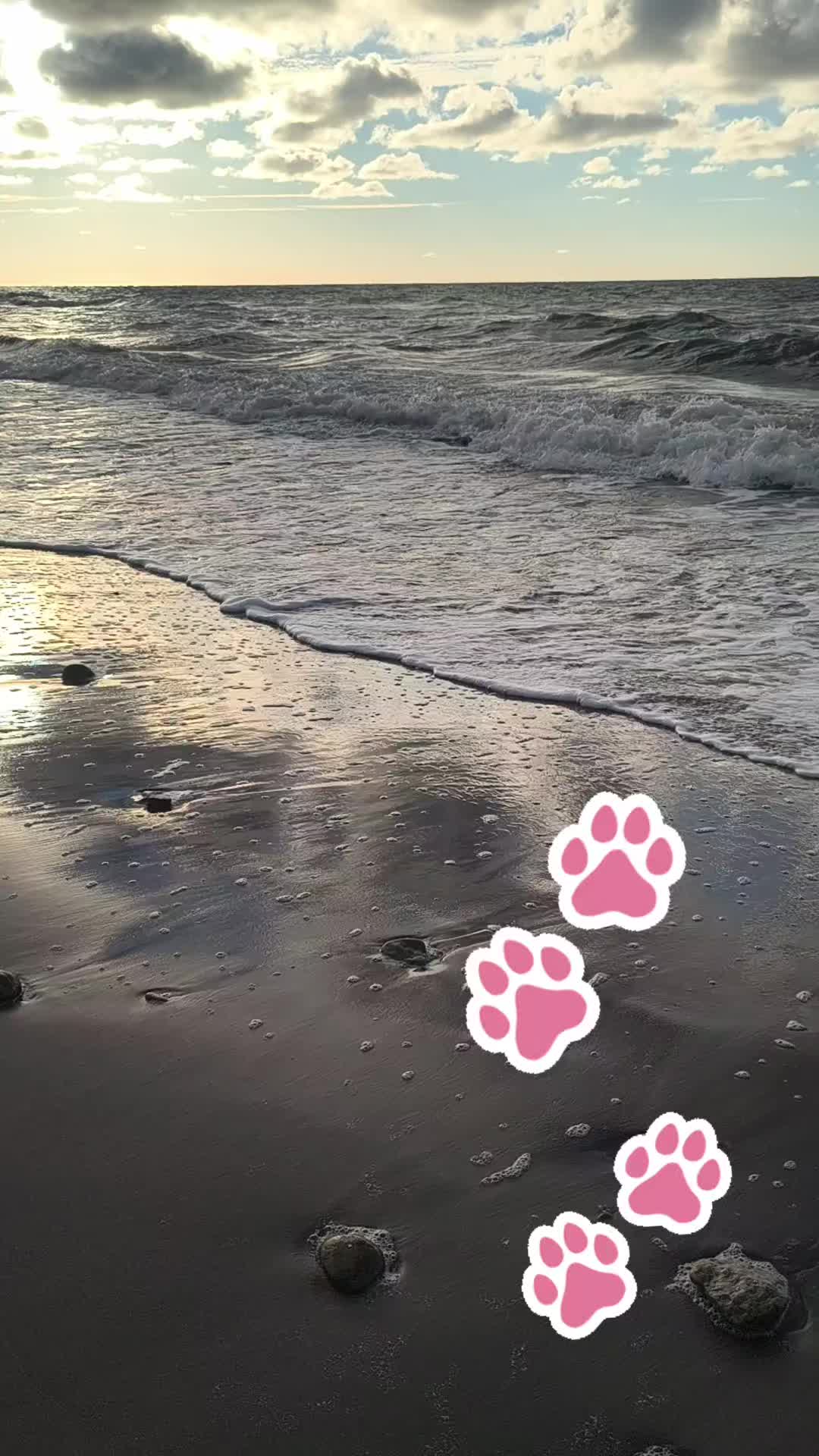 @tadelkaispółka