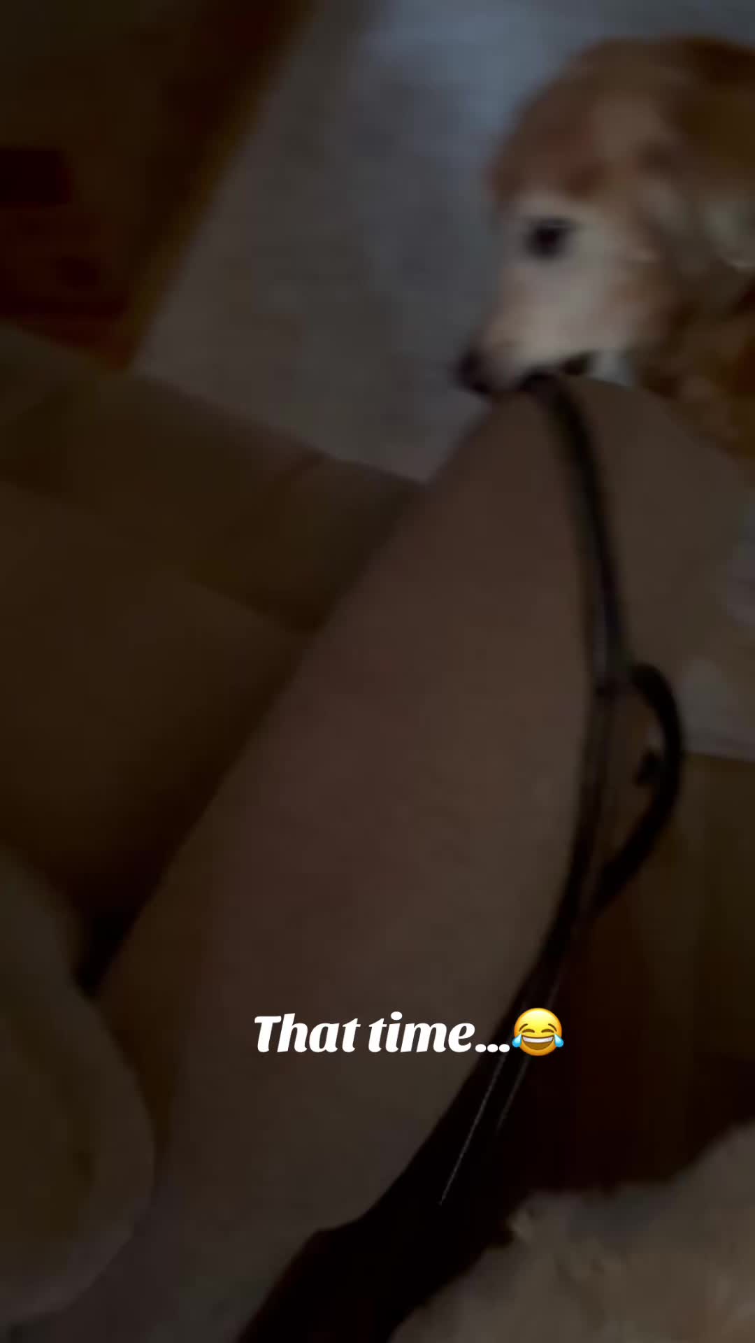 @lifewithduke2025