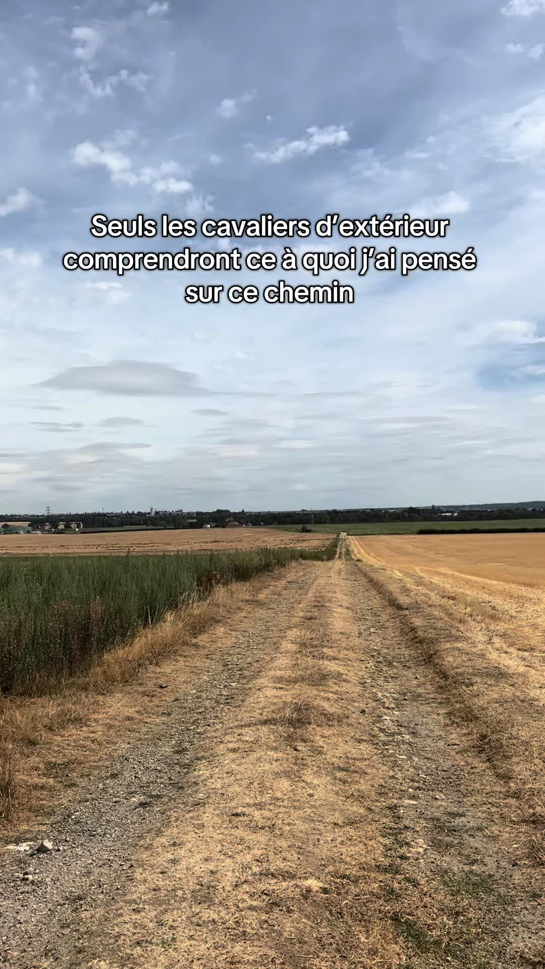 @Réflexions Equestres