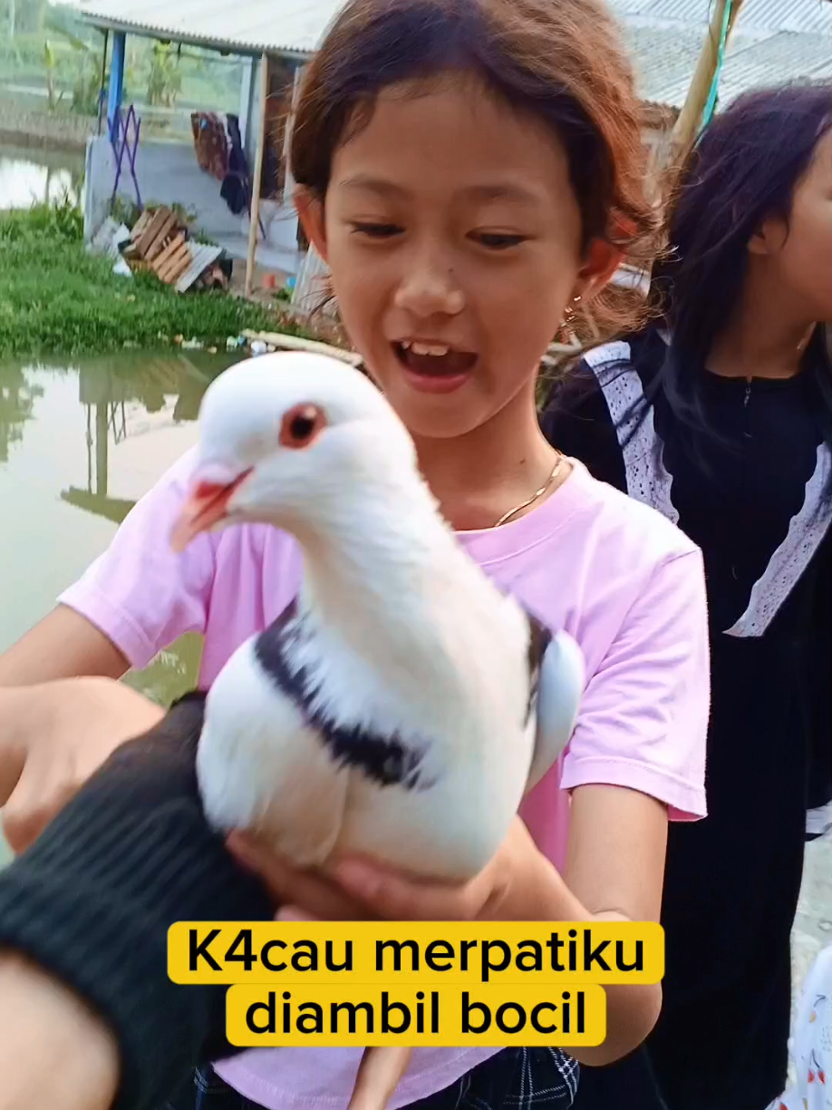 @BANG LEYON