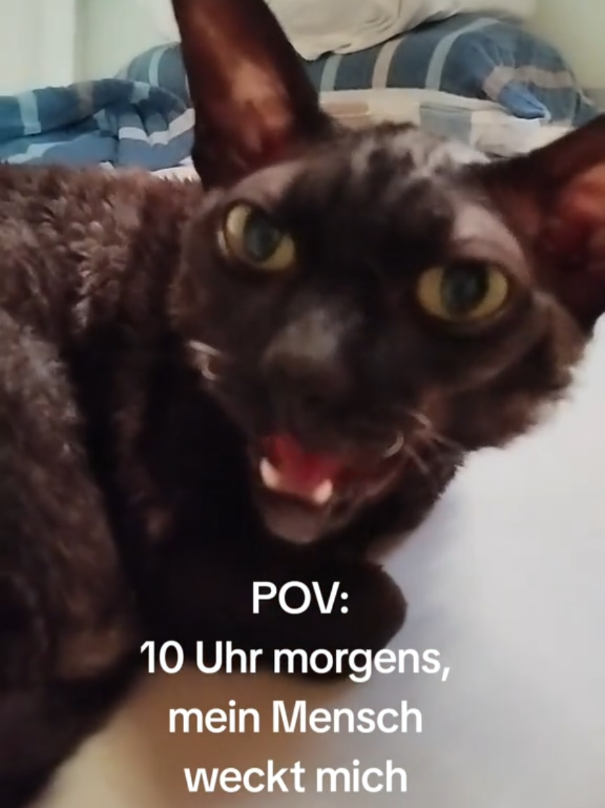 @Chris