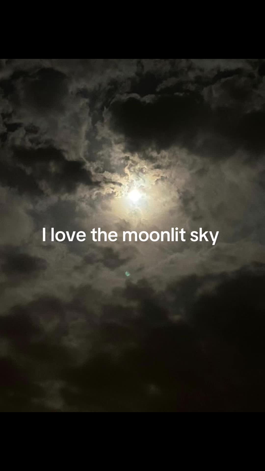 @♡ 𝓋𝒾𝓋𝑒𝓁  ♡