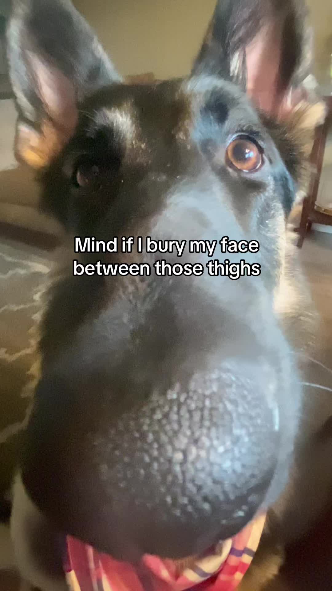 @Bhris