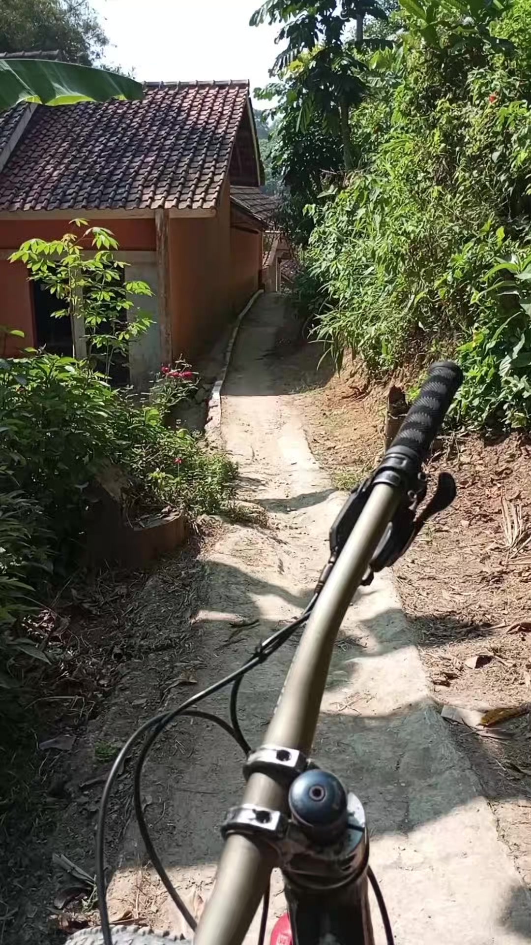 @awangawang53