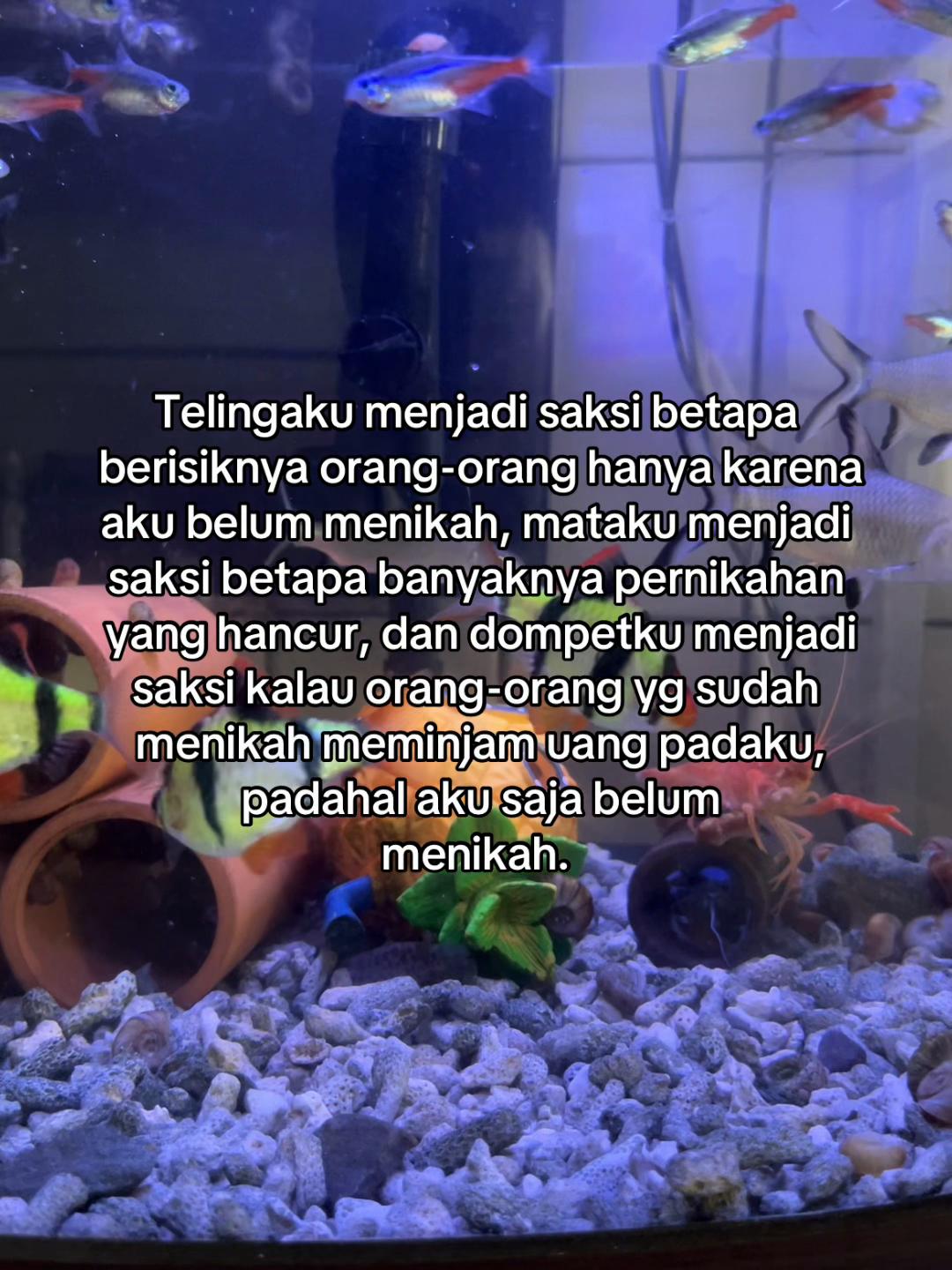 @Akunberdua
