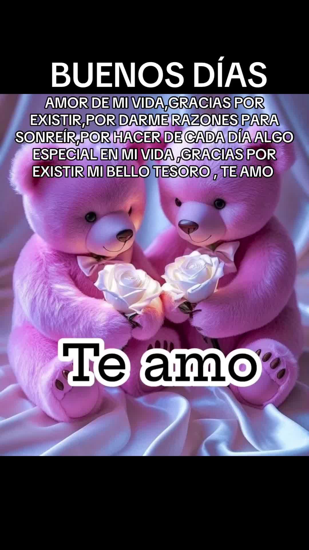 @🖤ELMIXTECO JAROCHO🖤