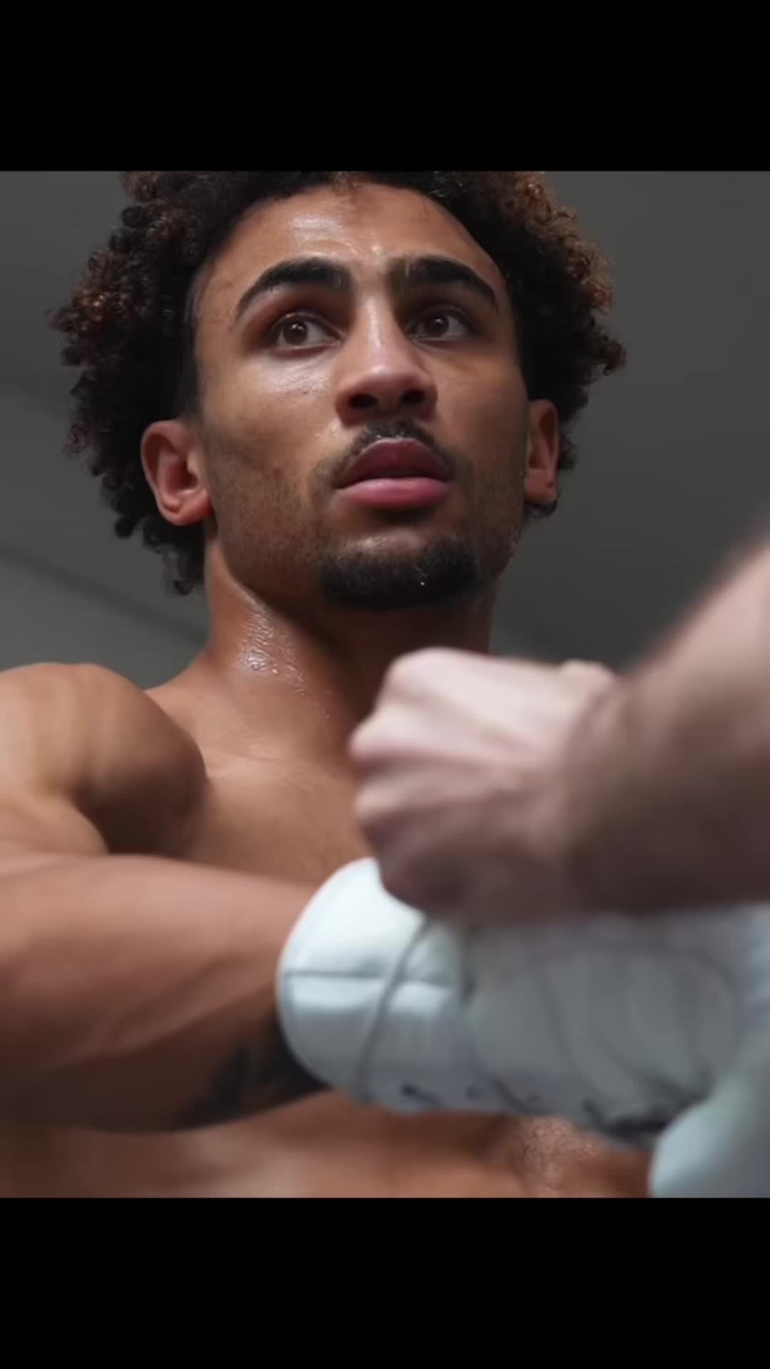 @BOXER