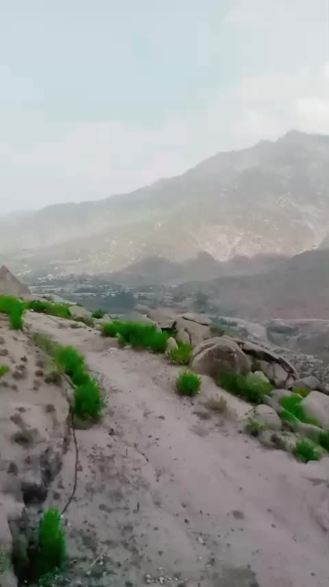 @Asad5576