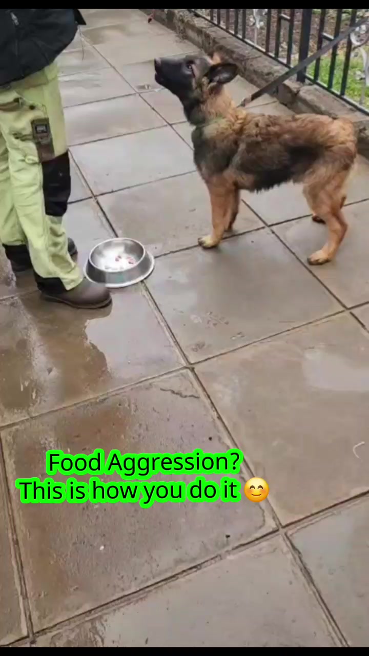 @Orimbajnrkennels