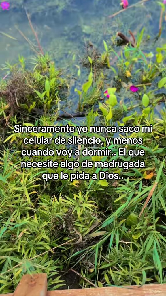 @ifuentesx 🪐⁷