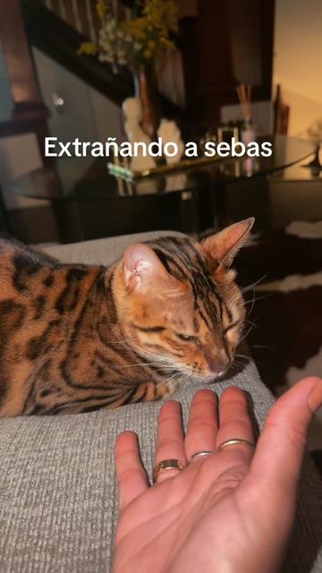 @Gen
