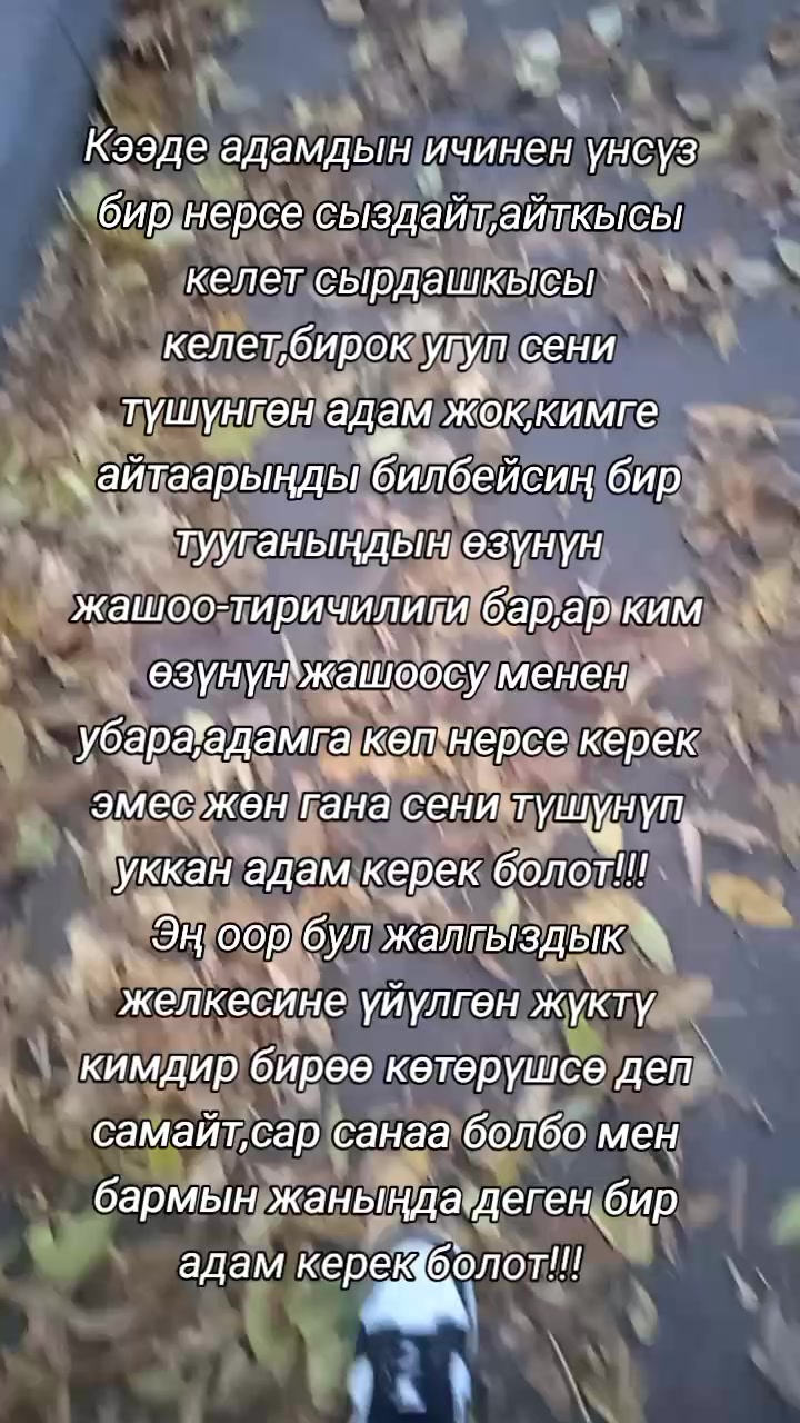 @BERMETIC