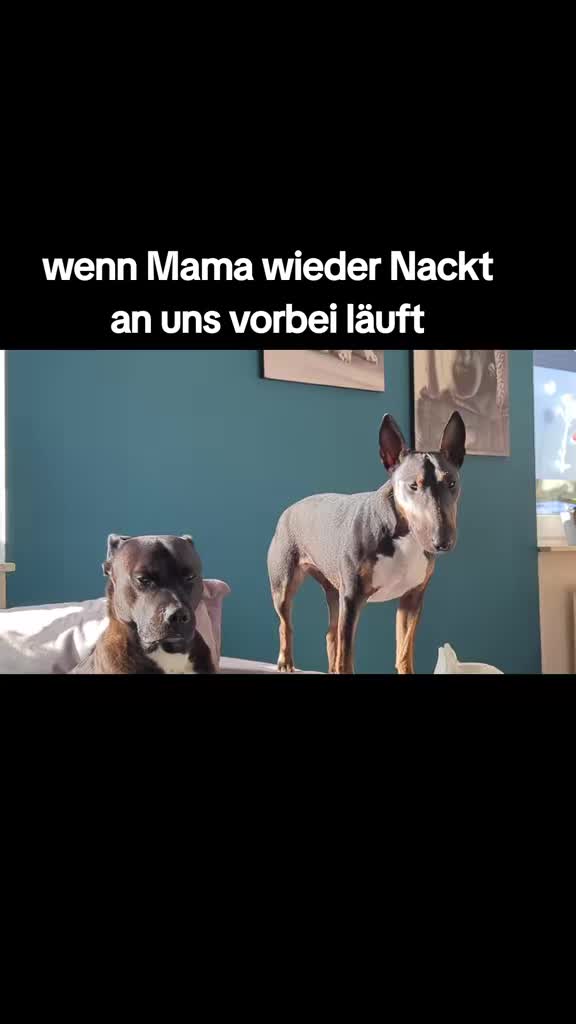 @DerJokerUndSeineFreunde