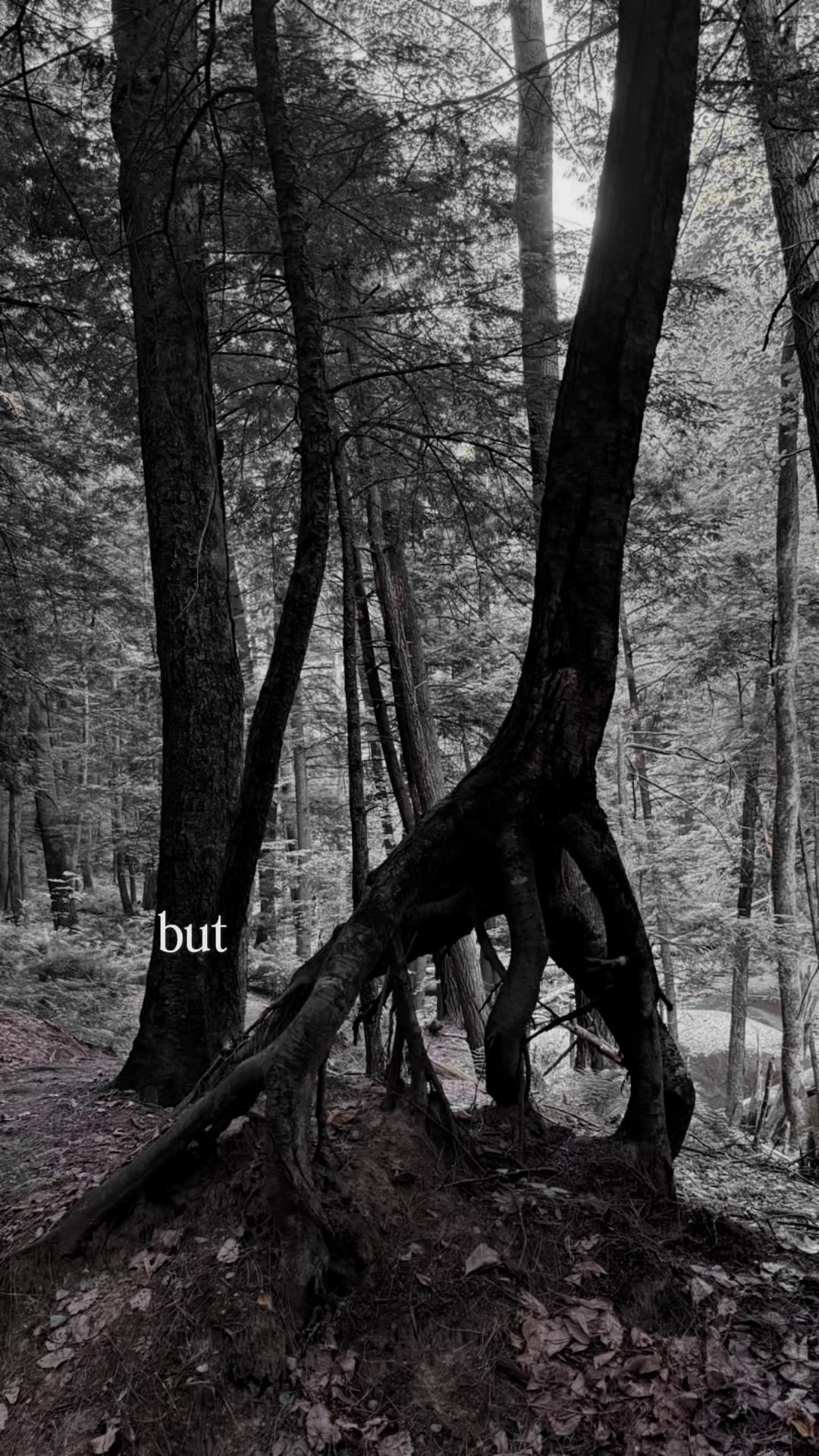 @B🩵🫧