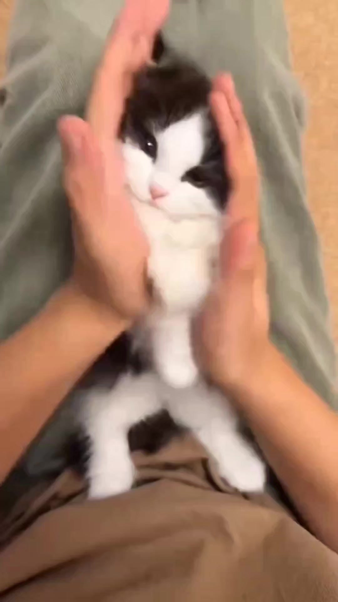 @هذه