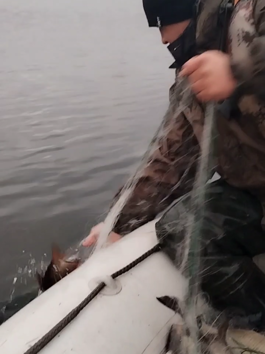 @Шах
