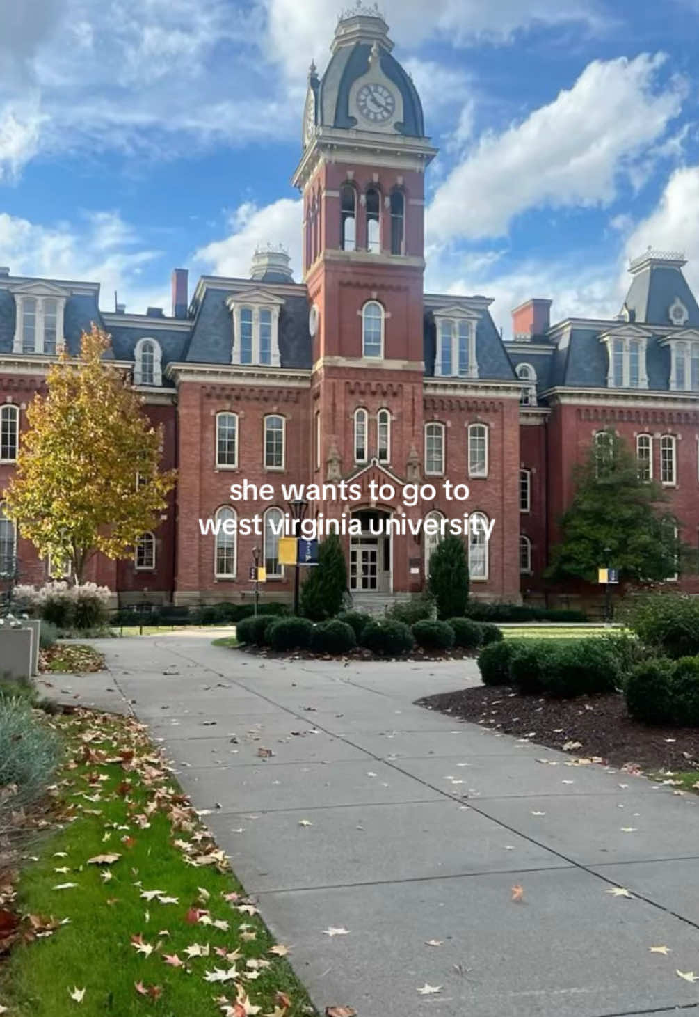 @gabby 💖🪽🌟🧁
