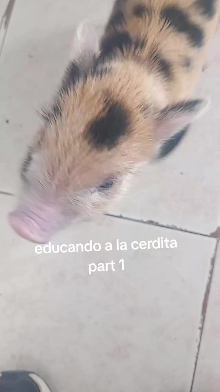 @Carla Najurieta